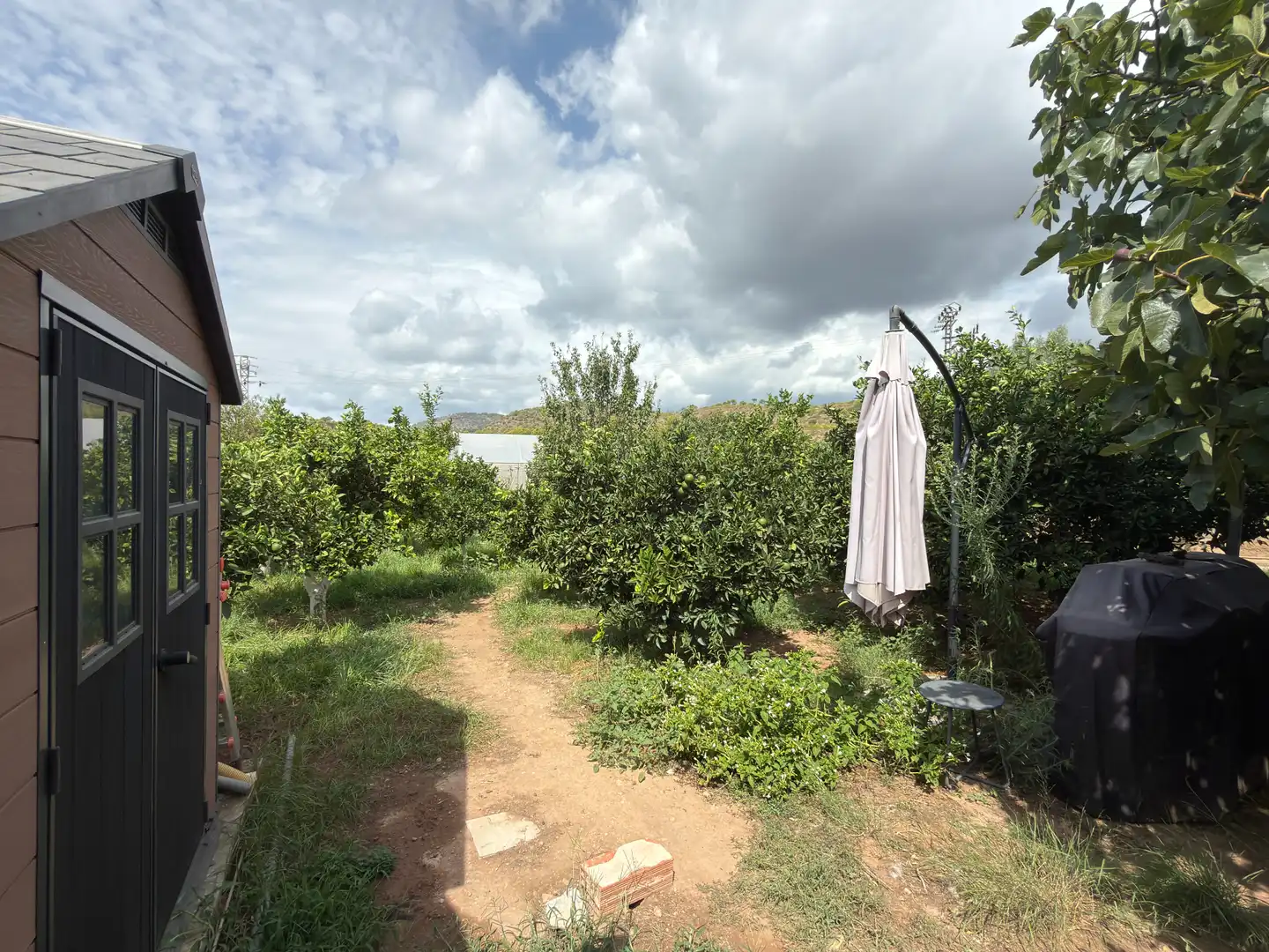 Chalet con piscina en venta en Albalat dels Tarongers, imagen 16