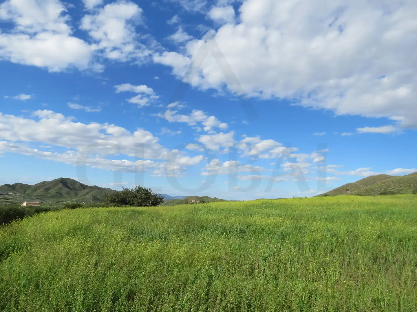 Exterior view of Land for sale in Cartagena
