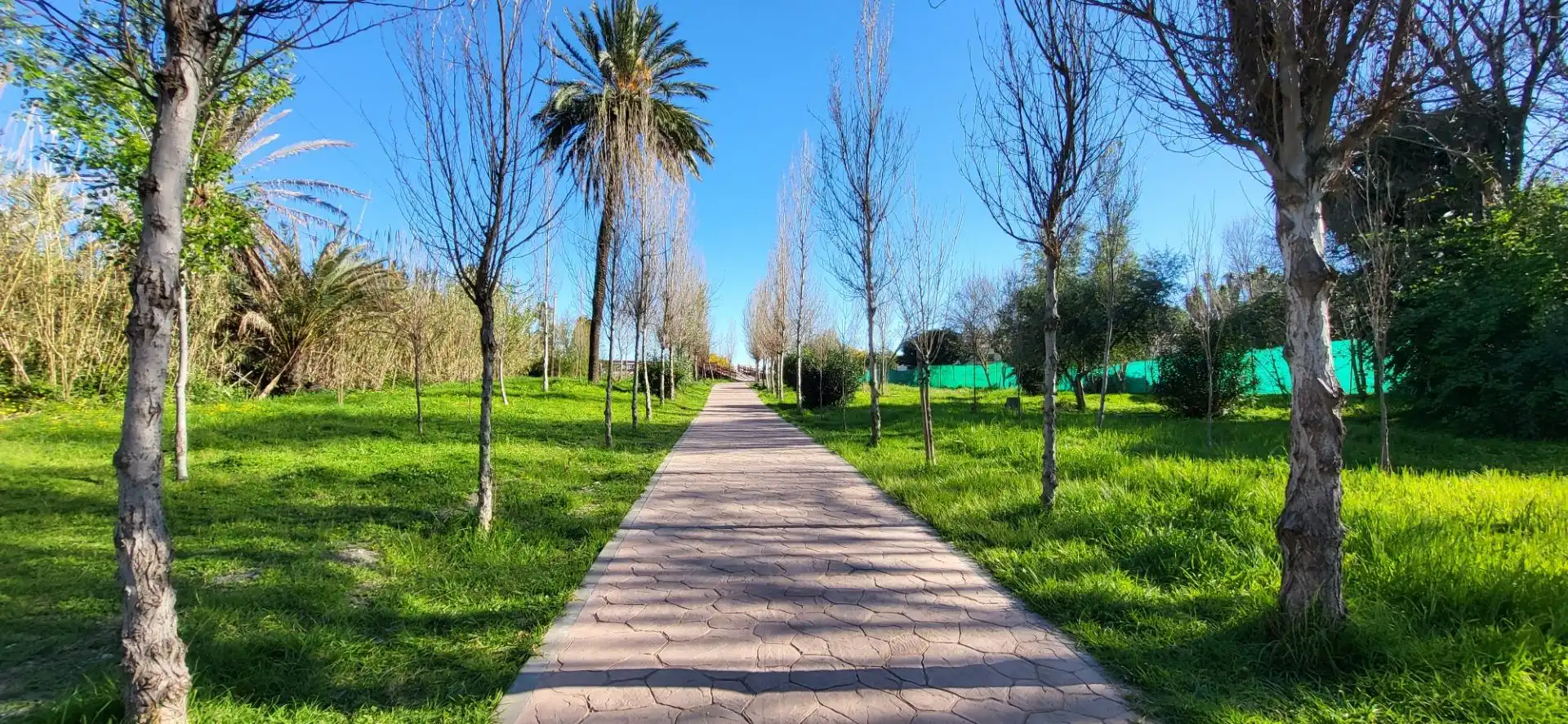 Chalet con jardín en venta en Benamara - Atalaya, imagen 27