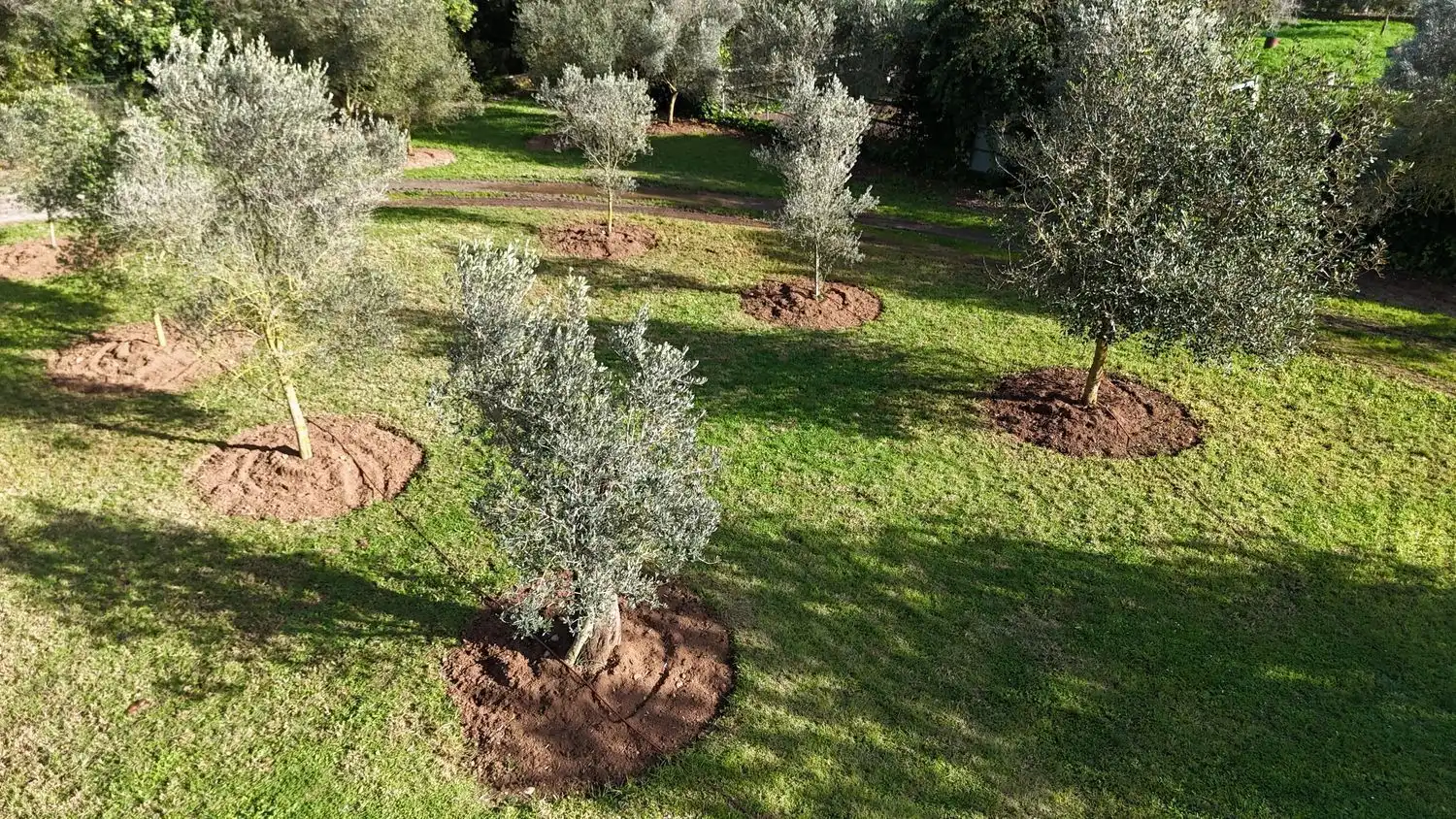 Finca rústica de alquiler en Manacor, Illes Balears