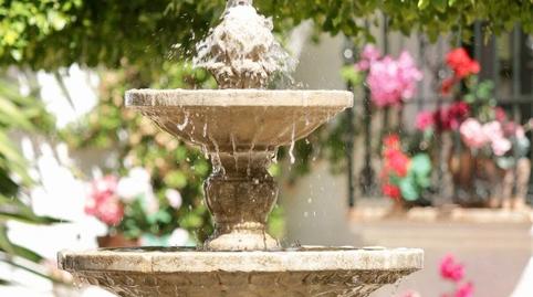 Foto 3 de Finca rústica en venda a Montellano, Sevilla