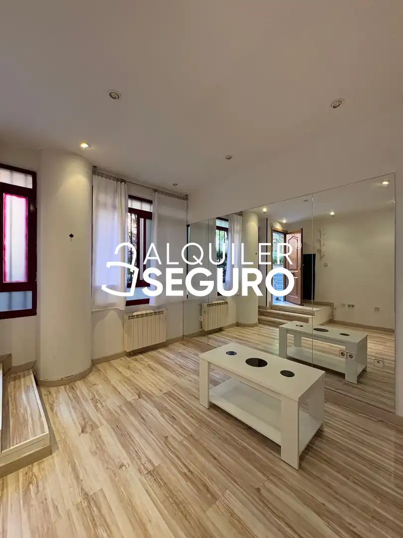 Sala d'estar de Estudi de lloguer en Madrid amb Calefacció