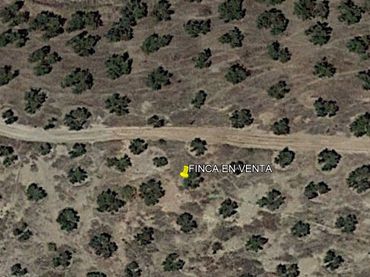 Terreno rustico in vendita a Priego de Córdoba