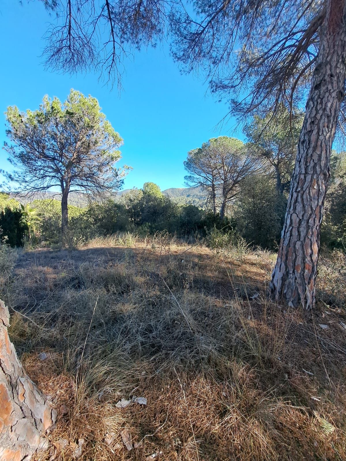 Residencial en venta en Vacarisses