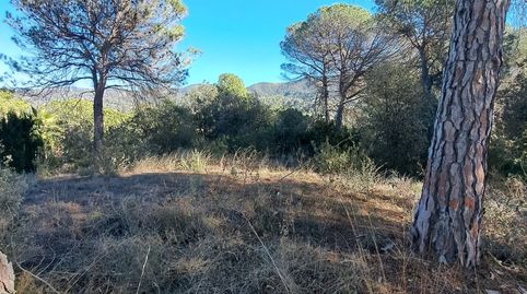 Foto 3 de Residencial en venta en Carrer Valles, 17, Vacarisses, Barcelona