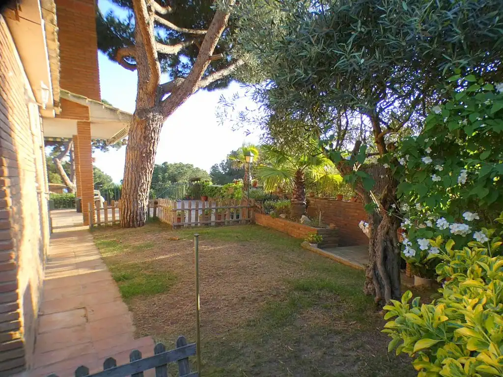 Jardín de Casa o chalet en venta en Premià de Dalt con Calefacción, Jardín privado y Parquet