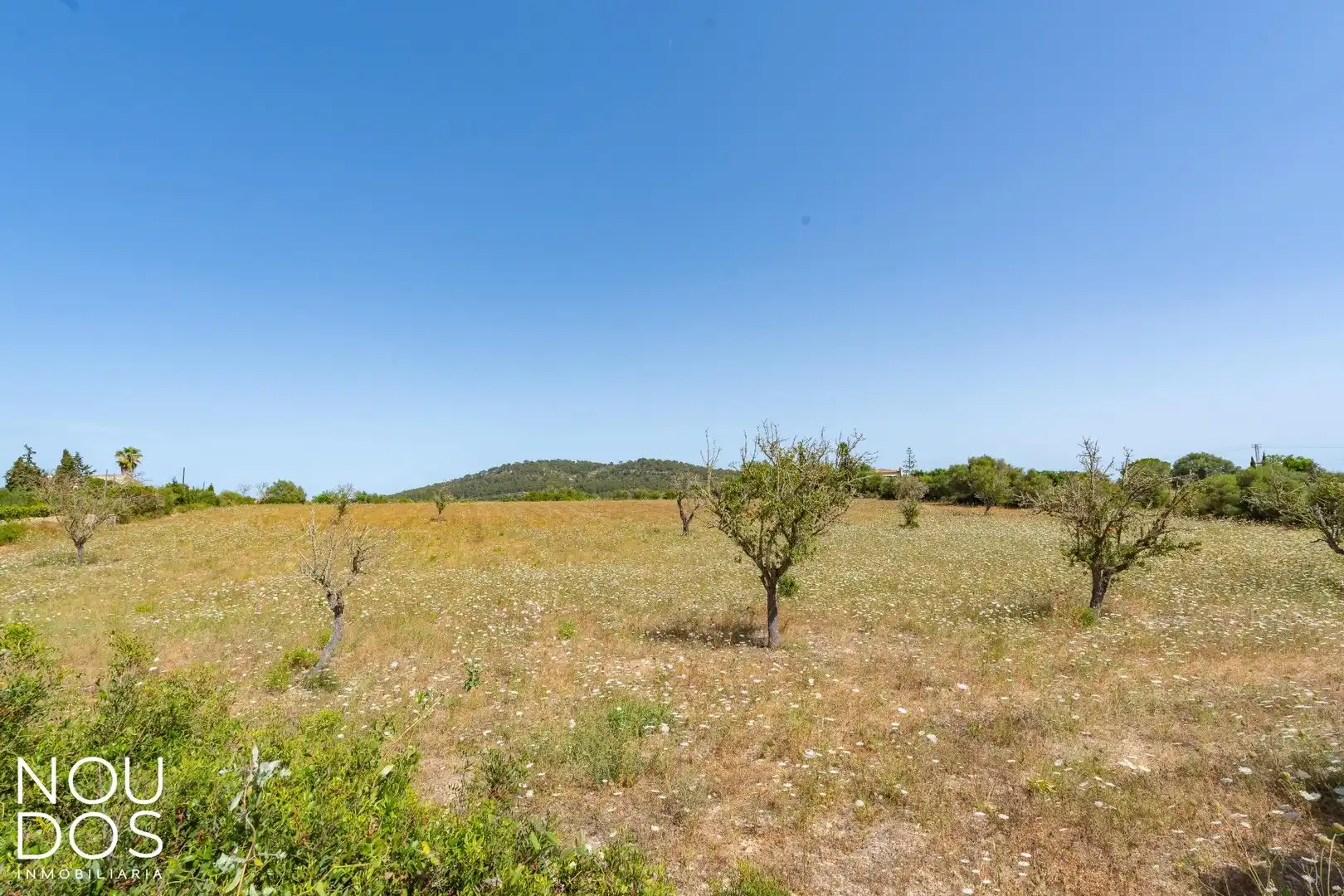 Terrenys i solars en venda a Llucmajor pueblo, imagen 10
