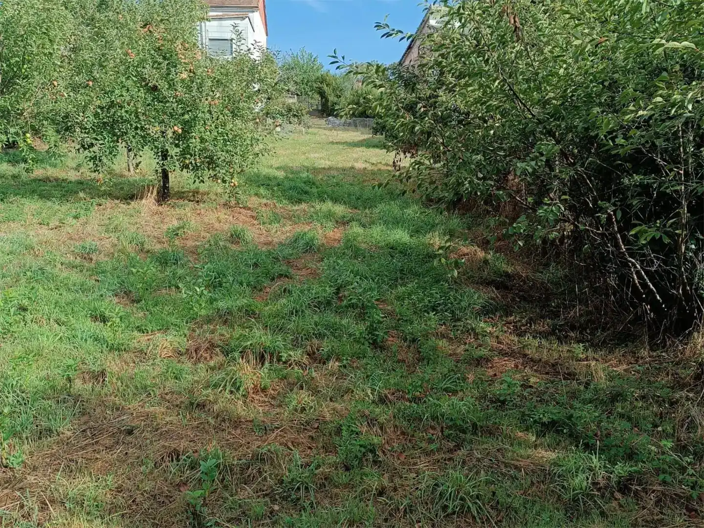 Terreno en venta en Maceda, Ourense