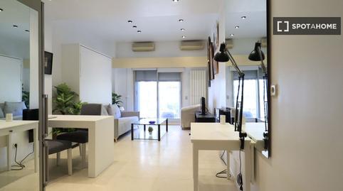 Photo 4 of Study to share in Ciudad Jardín, Madrid