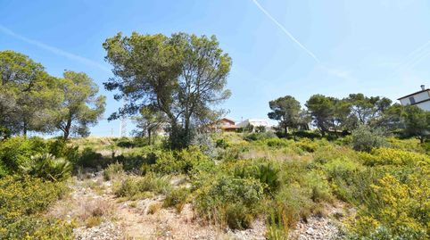 TERRENO BIEN ORIENTADO EN LES PALMERES, CANYELLES, immagine 2
