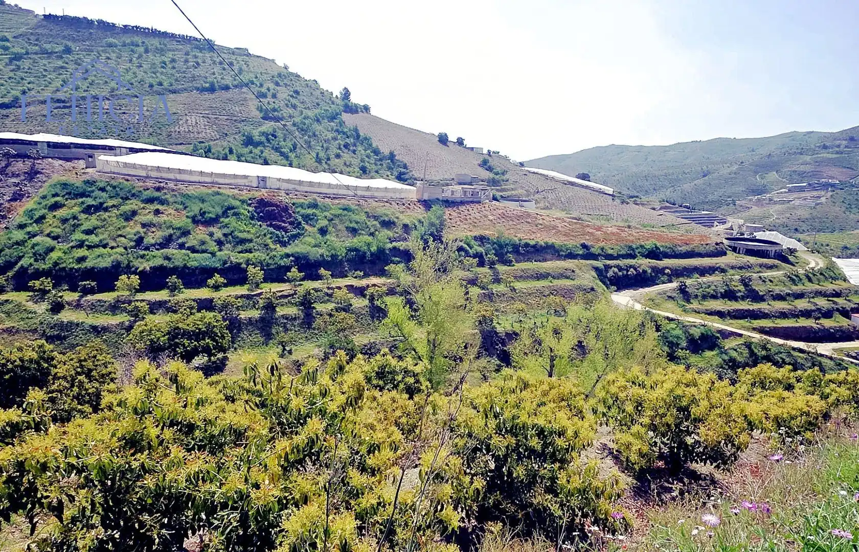 Terreno rustico in vendita a Ítrabo, imagen 3