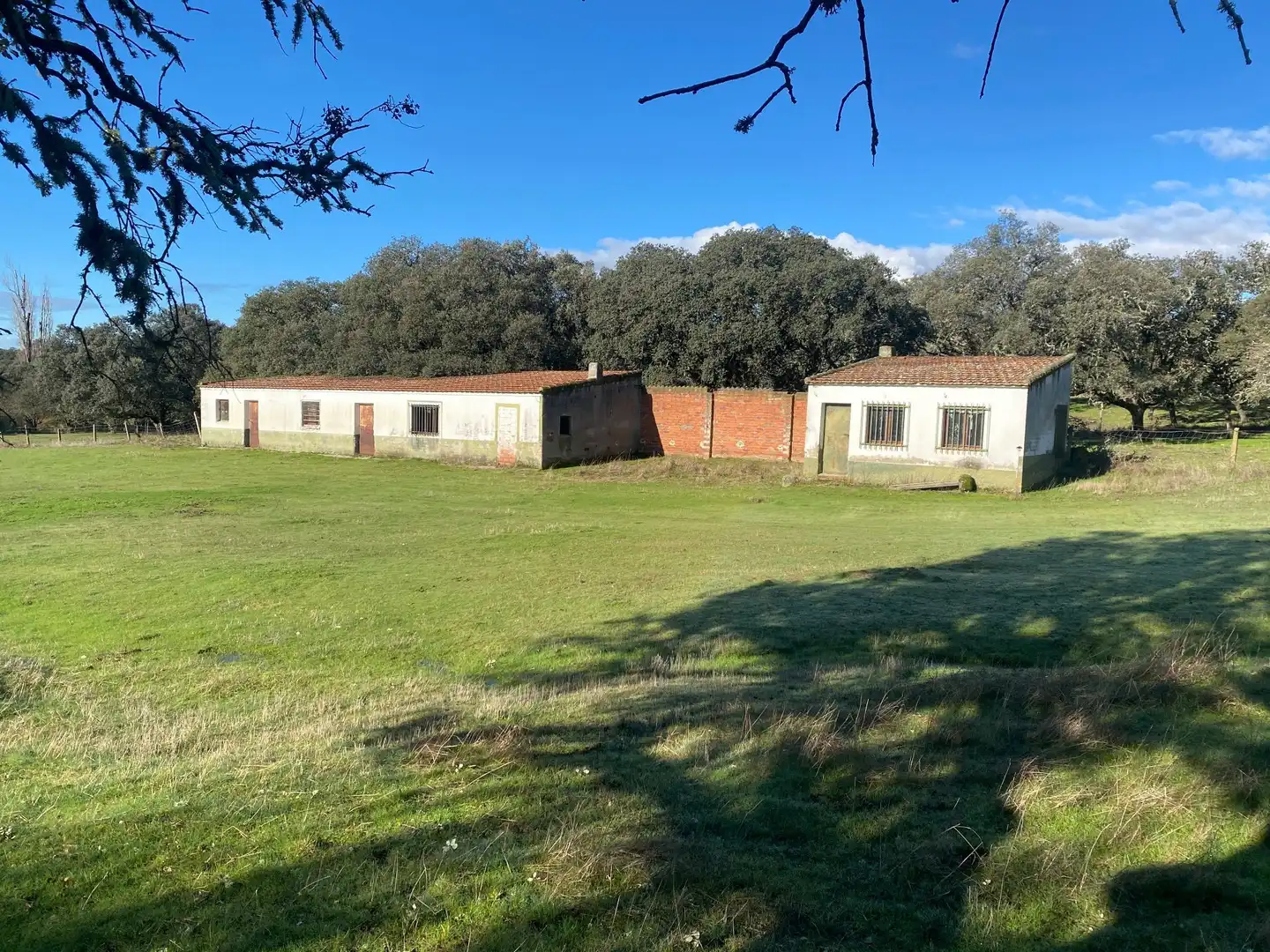 Finca rústica en venta en Buenaventura