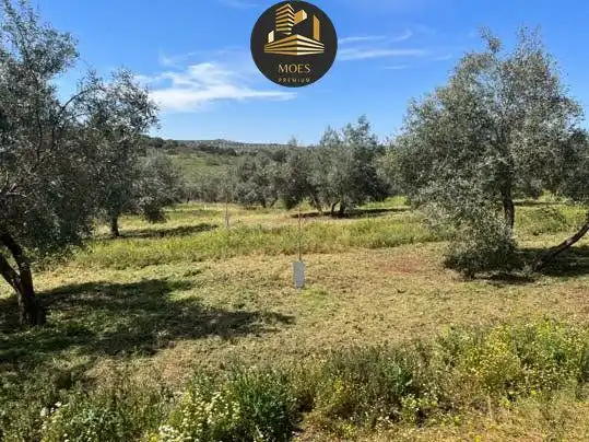 Terreni e lotti in vendita a San Roque - La Cruz - La Rozuela, imagen 5