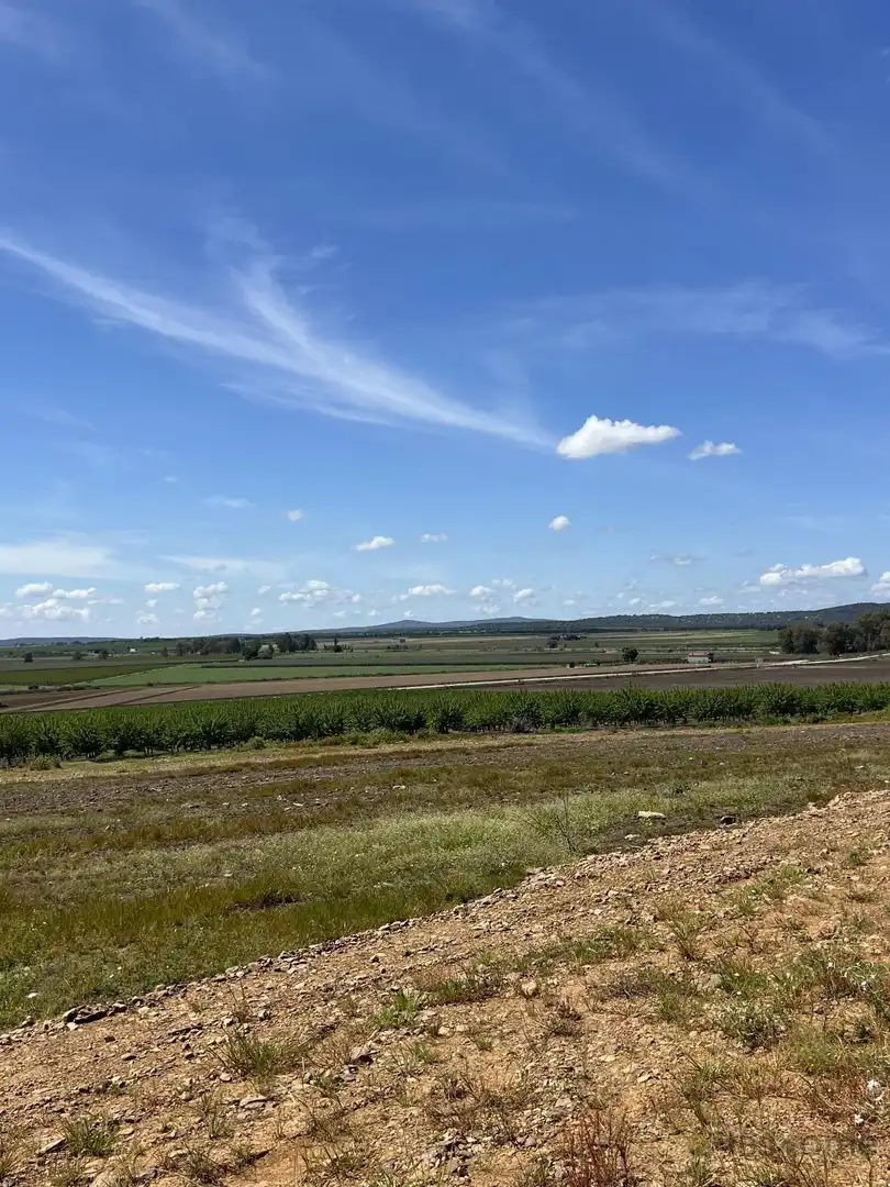 Finca rústica en venta en Santa Amalia