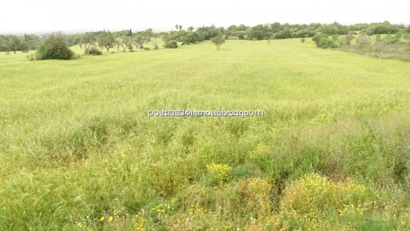 Terreno rustico in vendita a Llucmajor pueblo, imagen 13