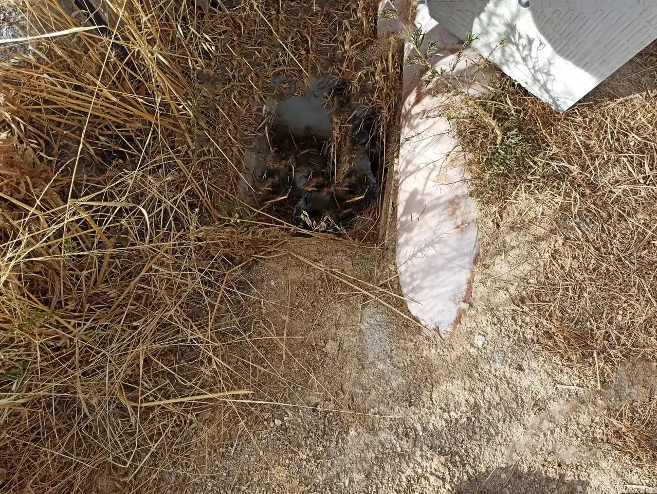 Terreni e lotti in vendita a Zona Rural, imagen 10