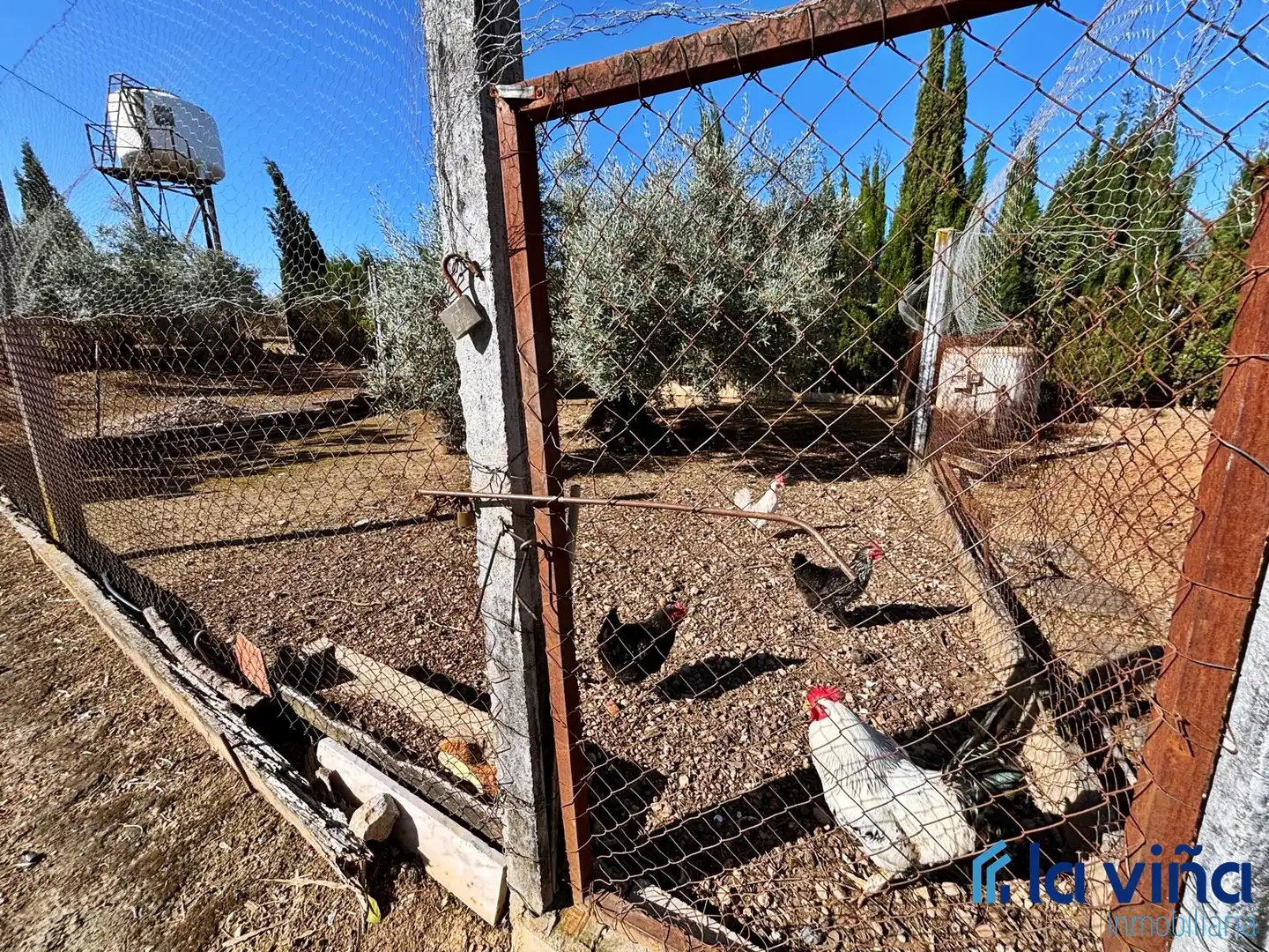 Jardín de Casa o chalet en venta en Casariche con Aire acondicionado, Calefacción y Jardín privado