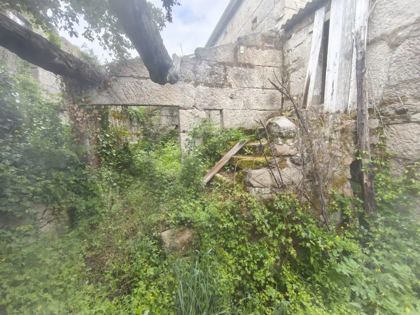 Houses for sale in Ourense Capital 