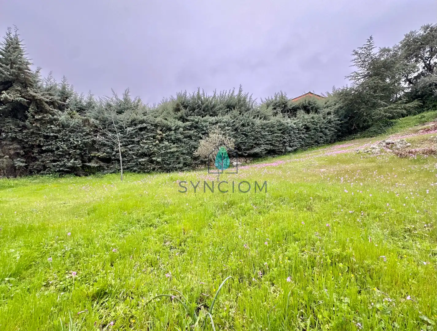 Casa o chalet en venta en Avenida de Peguerinos, Cerro Alarcón