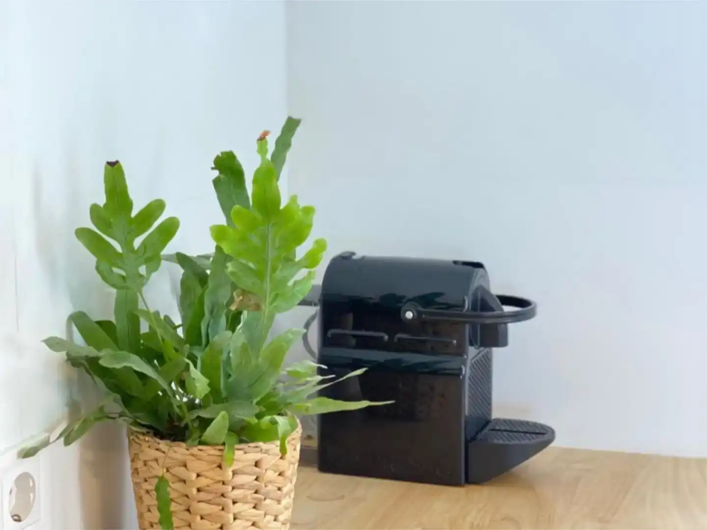 Garten von Wohnung zur Miete in Jávea / Xàbia mit Klimaanlage, Privatgarten und Möbliert
