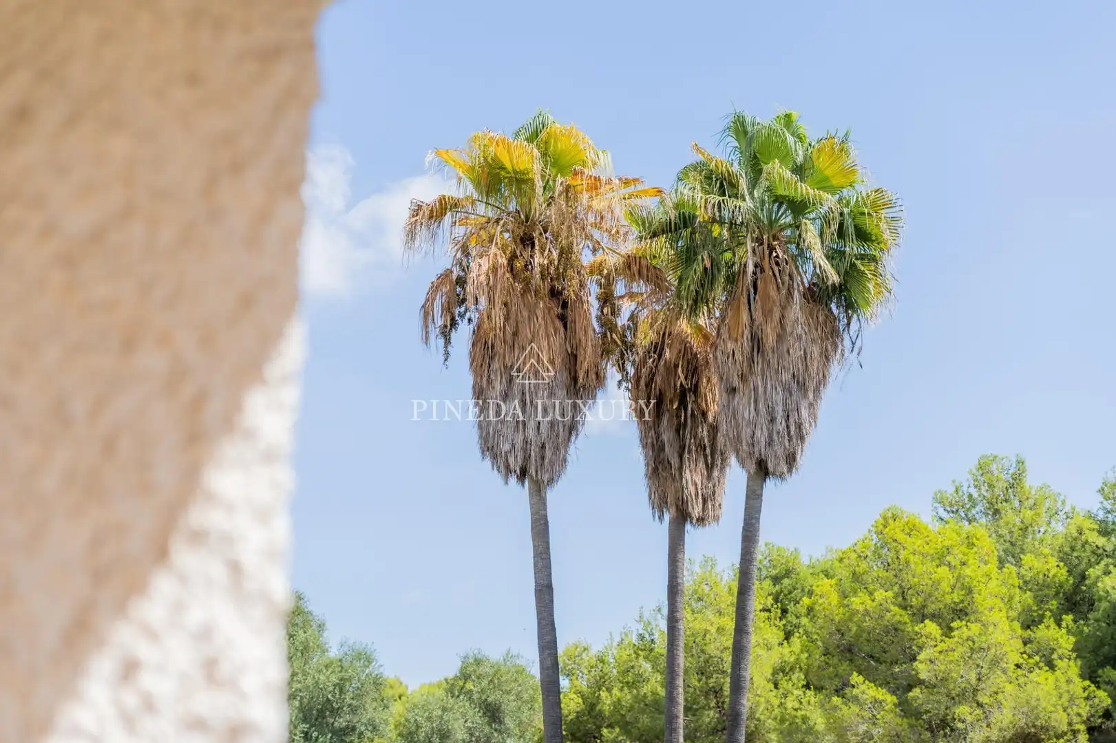 Casa o xalet en venda a Calle CAMP DE MORVEDRE, Alfinach - Los Monasterios