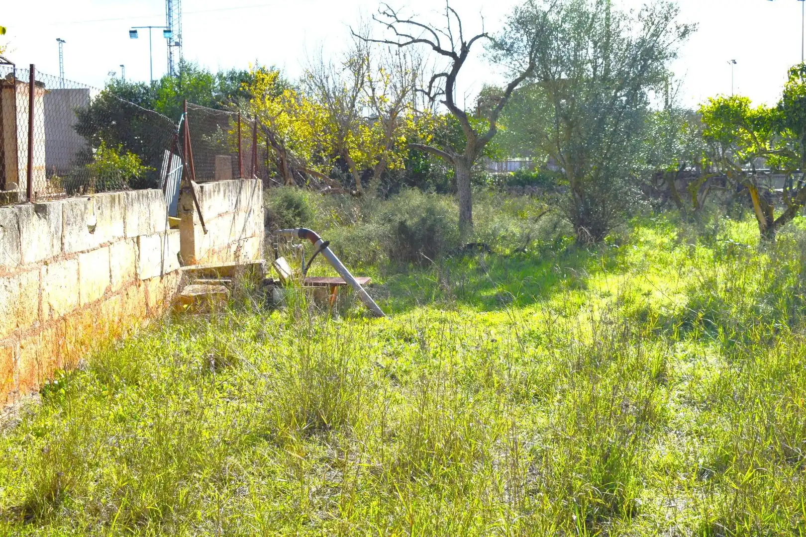 Residential land for sale in Llubí, imagen 17