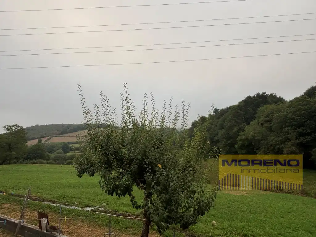 Finca rústica en venta en Becerreá