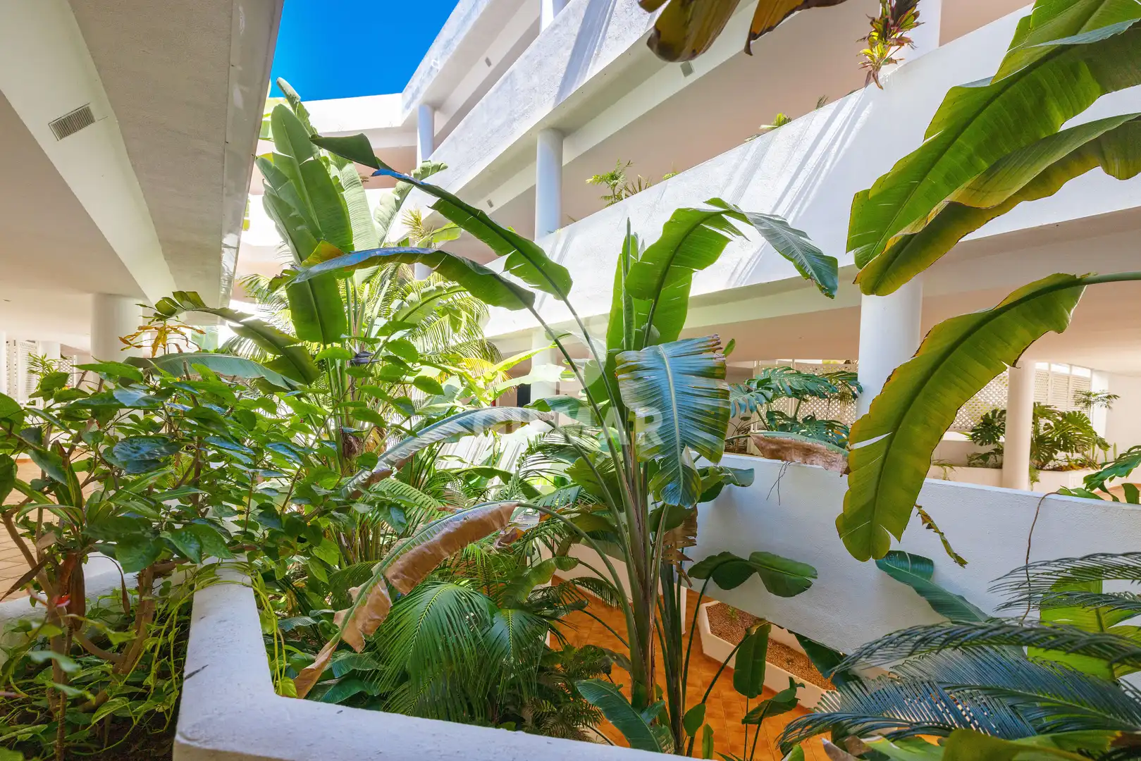Vista exterior de Apartament en venda en Marbella amb Calefacció, Jardí privat i Traster