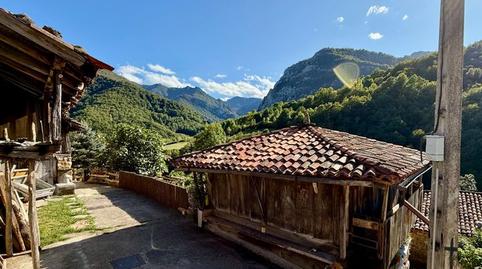 Photo 3 of Country house for sale in Municipio Caleao, Caso, Asturias