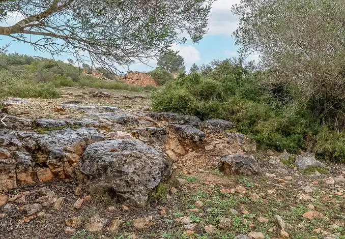 Terreno rustico in vendita a Cheste, imagen 4