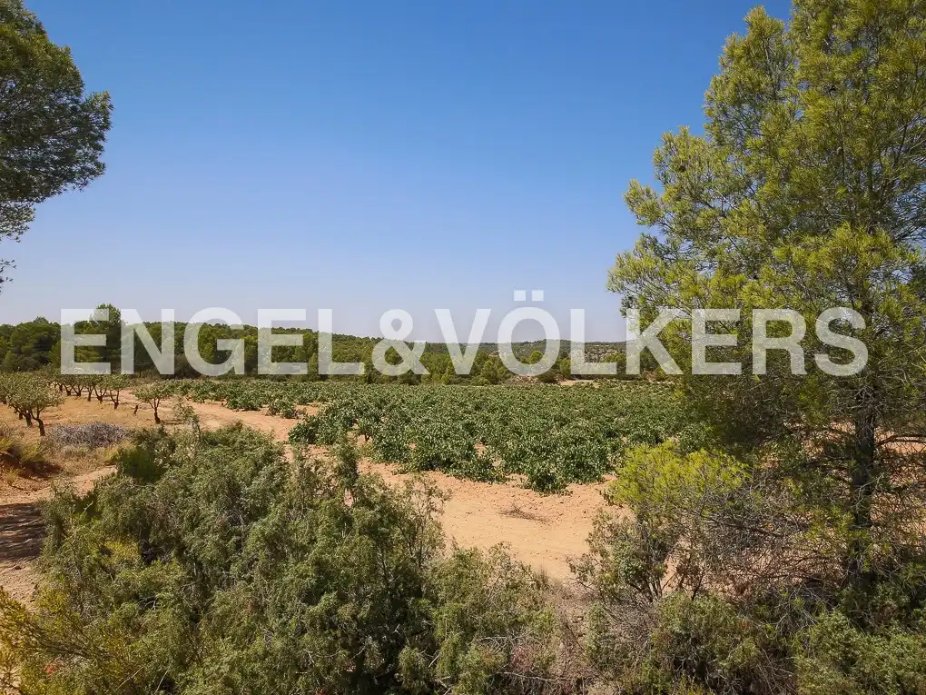 Finca rústica en venda a Requena