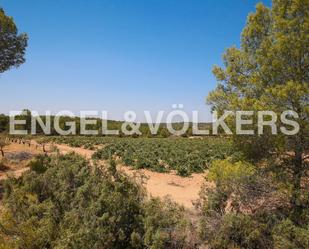 Finca rústica en venda a Venta del Moro
