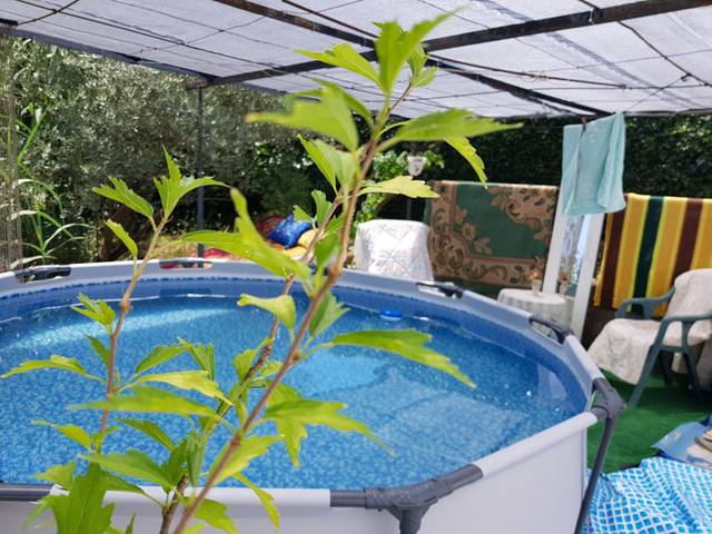 Casa-chalet en Venta en Avinguda del Vallès, 28 en Santa Maria de Palautordera