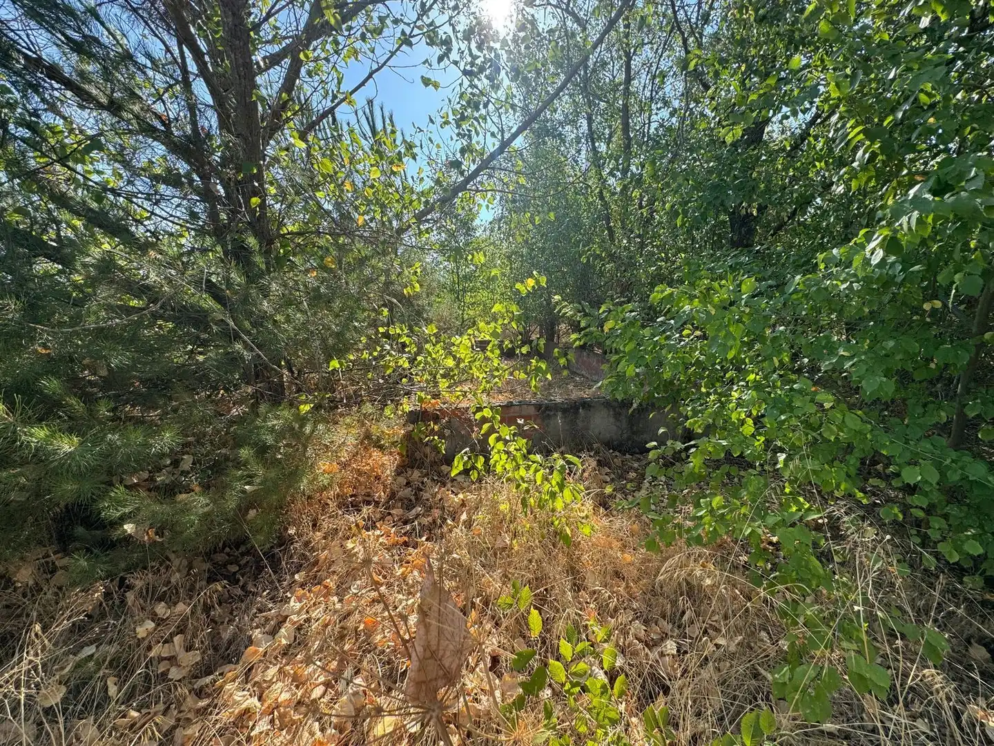 Rural land for sale in Camino del Serrano, imagen 7