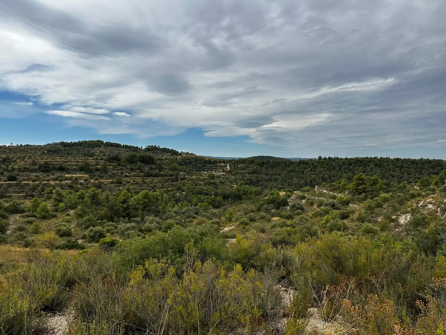 Terreny rústic en venda a Cervià de Les Garrigues, imagen 24