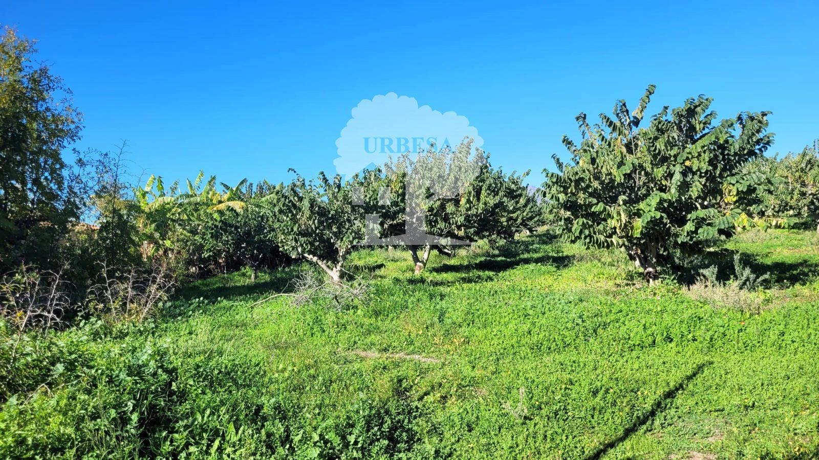 Grundstücke zum verkauf in Motril