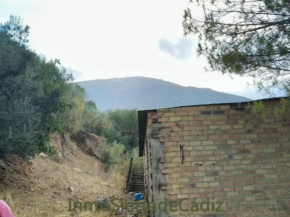 Finca rústica en venda en Algodonales
