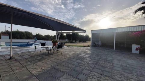 FINCA EN VENTA A 3 MINUTOS DE UTRERA  INVERSIÓN CON RENTABILIDAD INMEDIATA, imatge 3