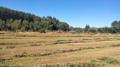 Foto 5 de Casa o xalet en venda a Villanueva Mesía, Granada