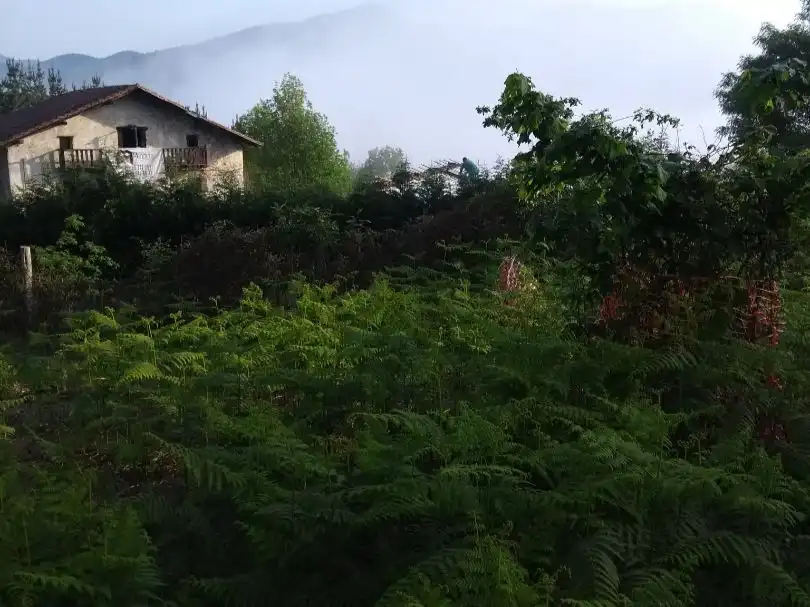 Houses for sale in Okondo, Araba - Álava