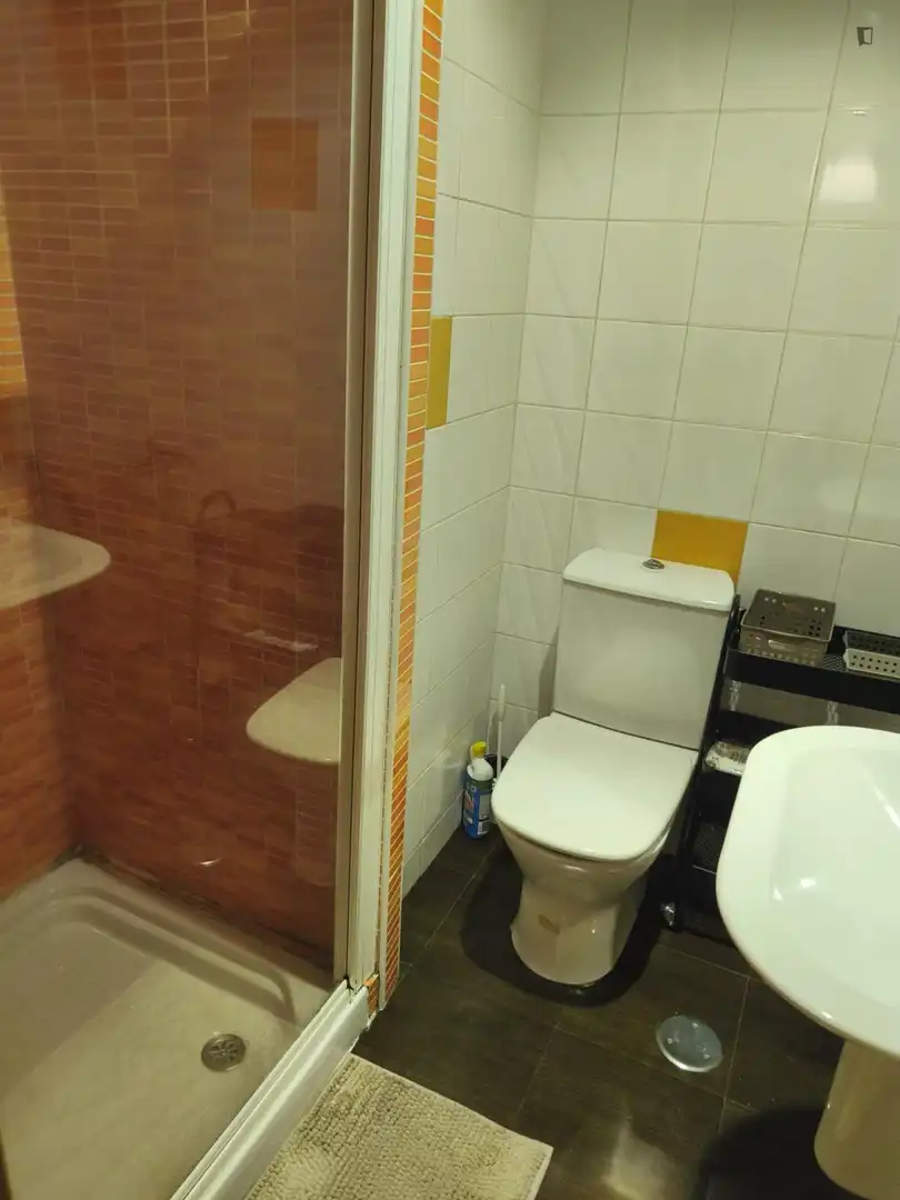 Baño de Apartamento para compartir en Vigo  con Calefacción, Amueblado y Horno
