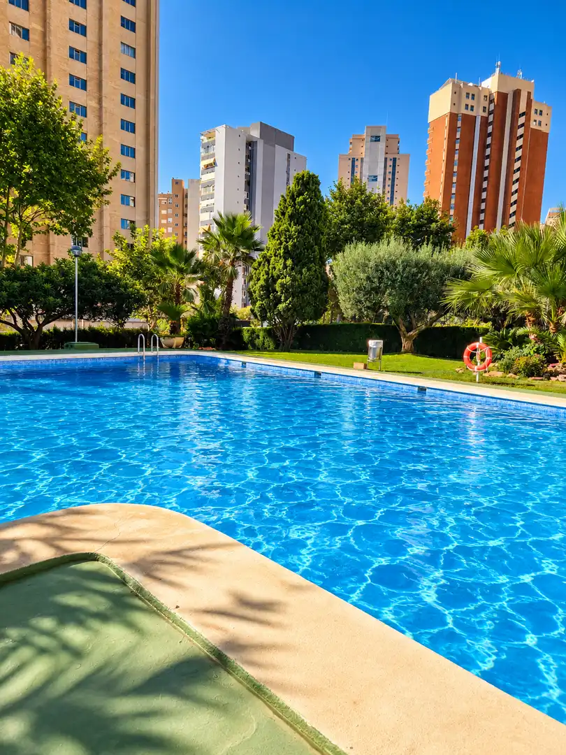 Swimming pool of Apartments for sale in Juzgados - Plaza de Toros