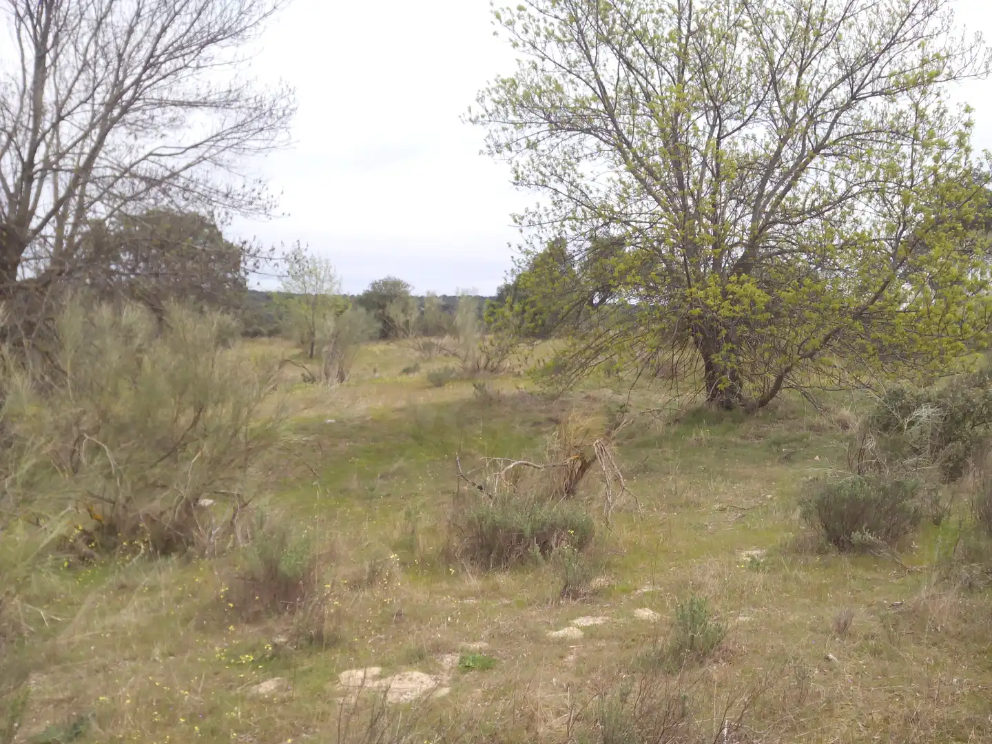 Terreno en venta en Aldea del Fresno