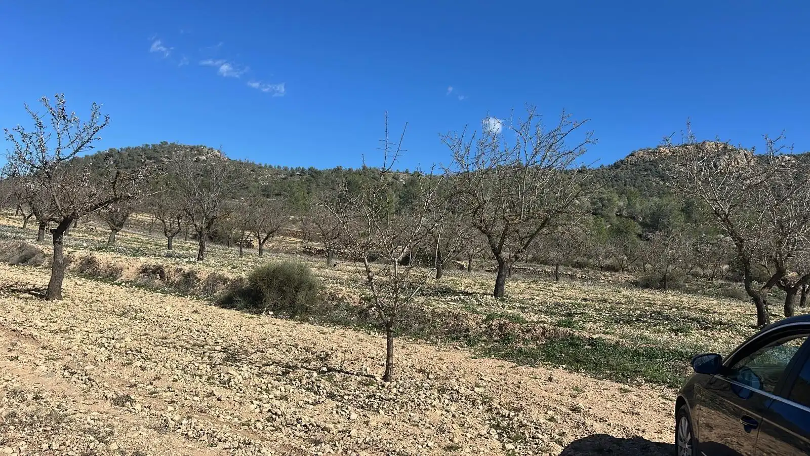 Terreno rustico in vendita a Las Trescientas - San Francisco - Ciudad Vergel, imagen 2