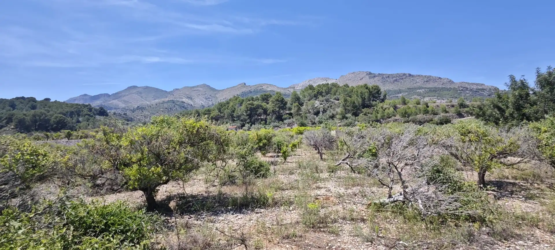 Residential land for sale in Tormos, imagen 41