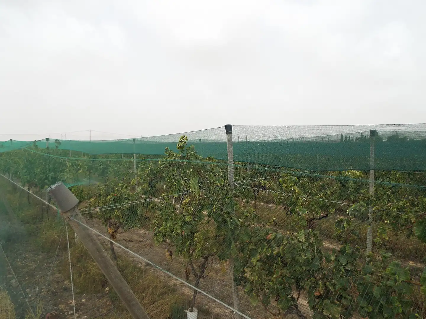 Terreno residencial en venta en Monforte del Cid, imagen 15