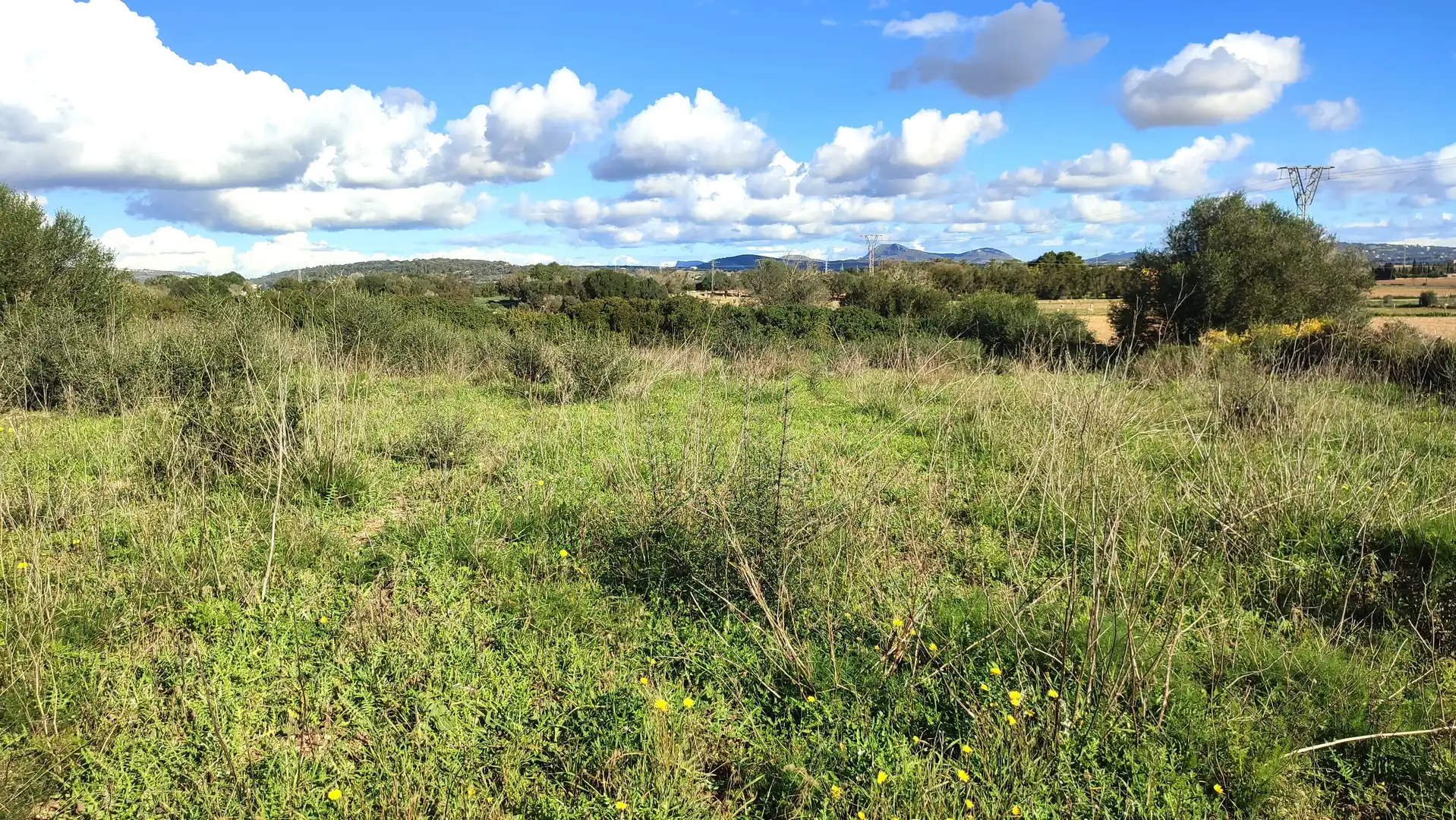 Rural land for sale in Diseminado Cdte Primero 3, imagen 5