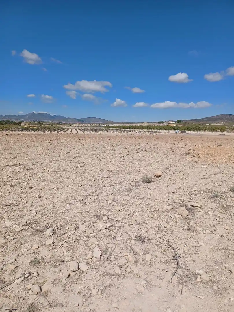 Terreny residencial en venda a El Pinós / Pinoso, imagen 8