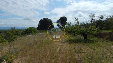 Foto 3 de Terreno en venta en Bélgida, Valencia