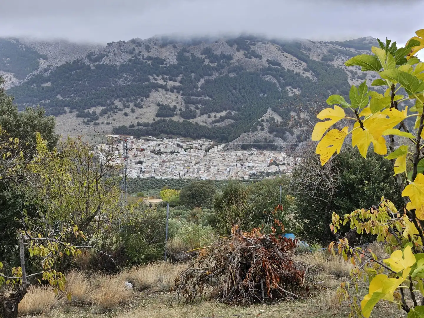 Vista exterior de Finca rústica en venta en Torres con Jardín privado